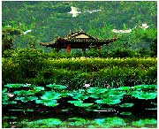蔡甸天气预报40天