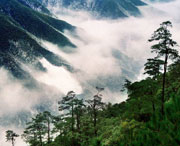 铅山天气预报40天
